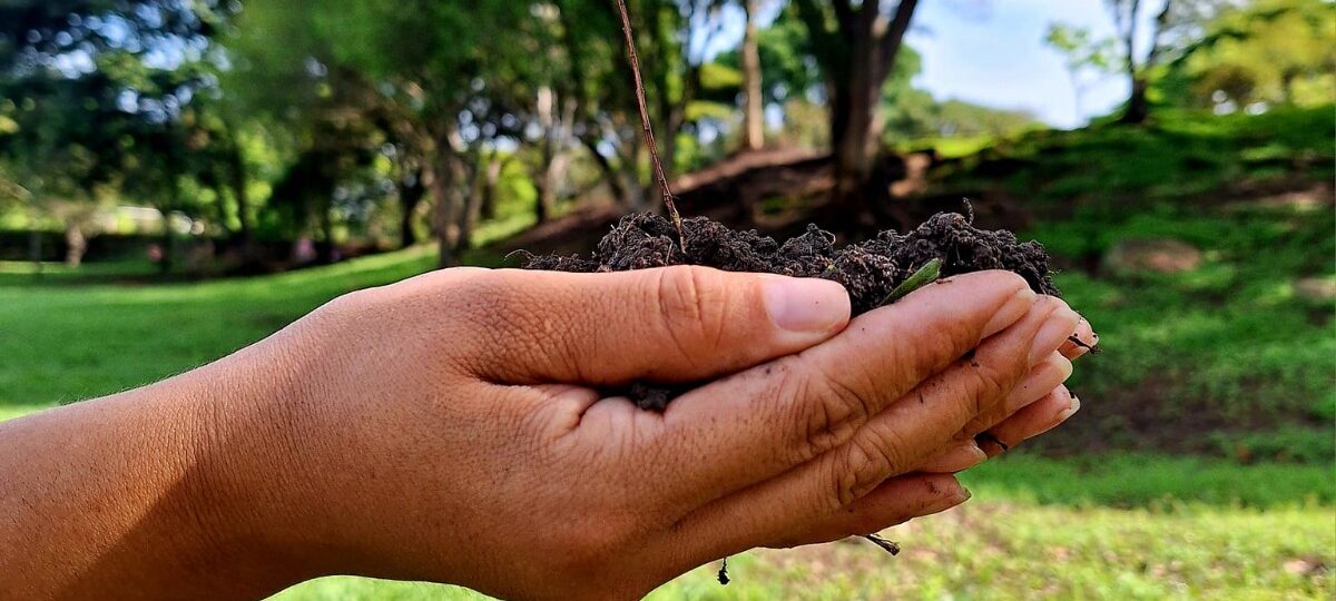 Día Mundial del Medioambiente con SkyTravels