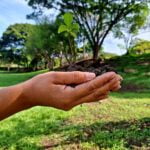 Día Mundial del Medioambiente con SkyTravels