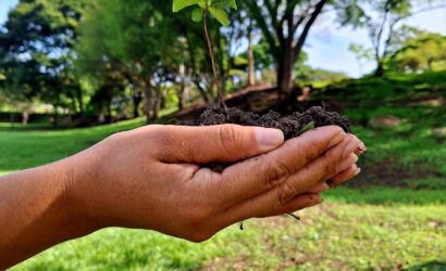 Día Mundial del Medioambiente con SkyTravels